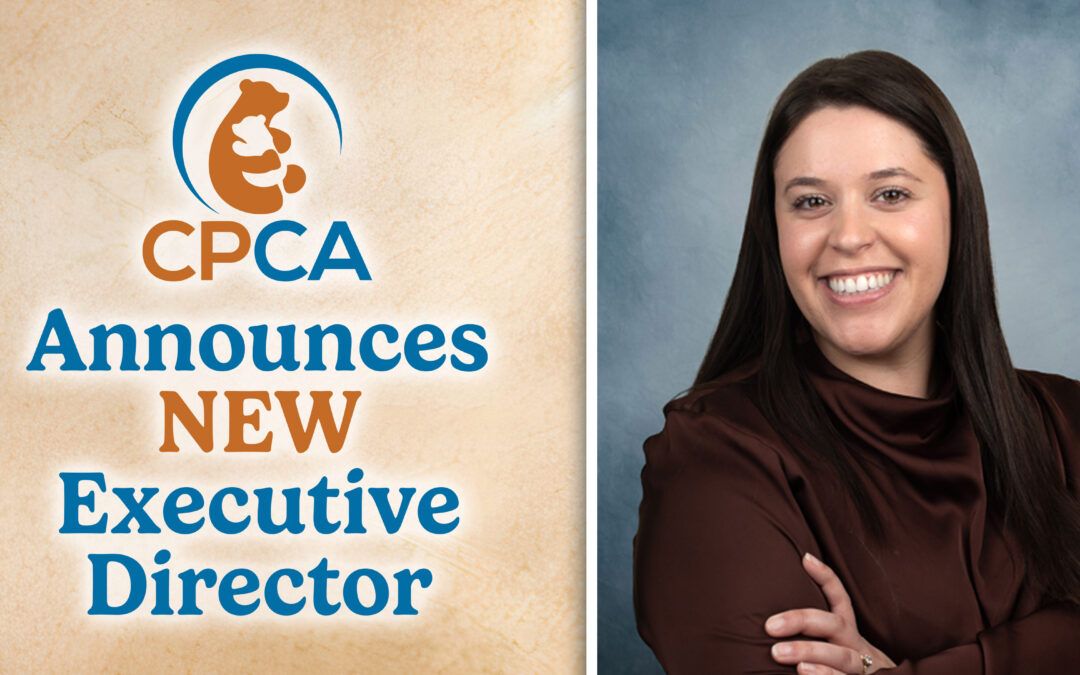 New Executive Director